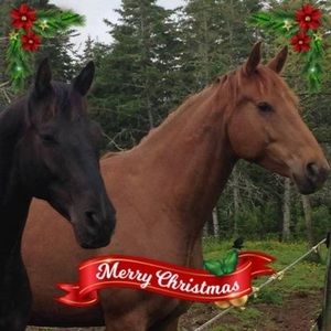 Meet your Posher, Jo